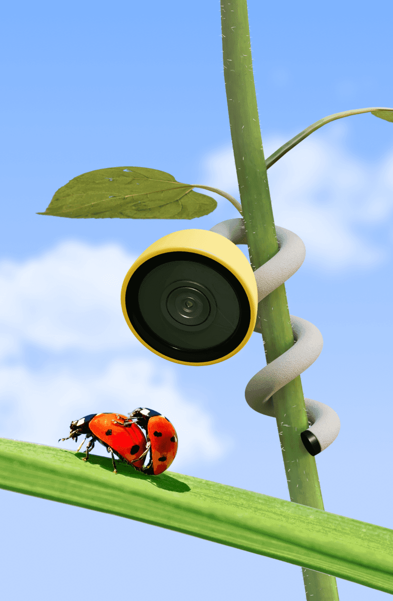 chat living room second Logo